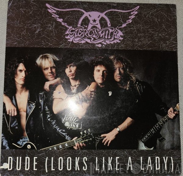 Aerosmith - Dude (Looks Like A Lady)