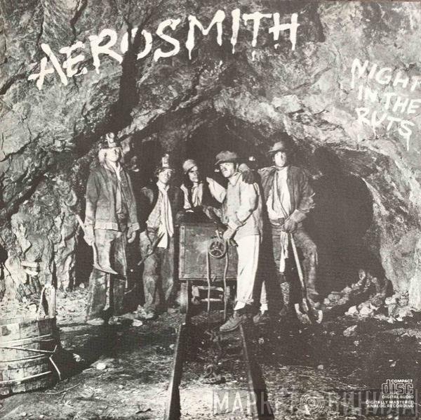 Aerosmith  - Night In The Ruts