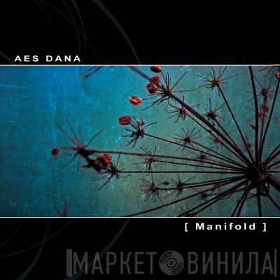 Aes Dana  - Manifold
