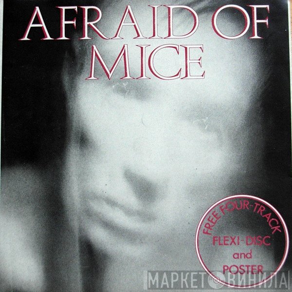 Afraid Of Mice - Medley : Popstar, Bad News, Taking It Easy, Important Man