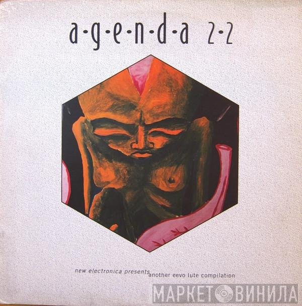  - Agenda 22  (Another Eevo Lute Compilation)