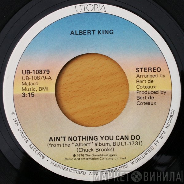 Albert King - Ain't Nothing You Can Do