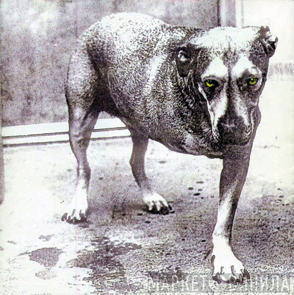 Alice In Chains  - Alice In Chains