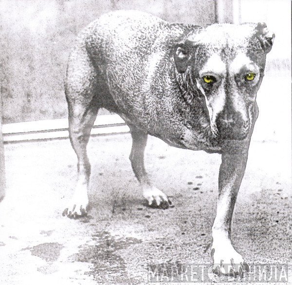 Alice In Chains  - Alice In Chains