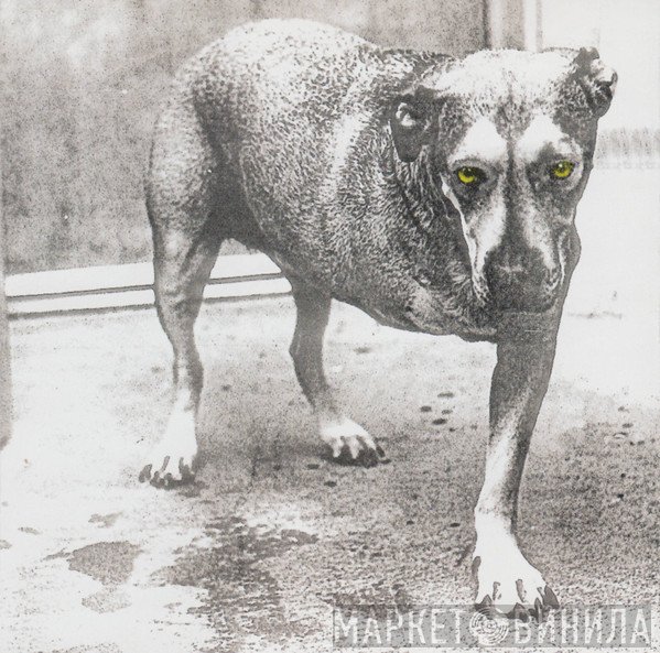 Alice In Chains  - Alice In Chains
