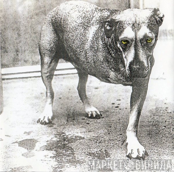 Alice In Chains  - Alice In Chains