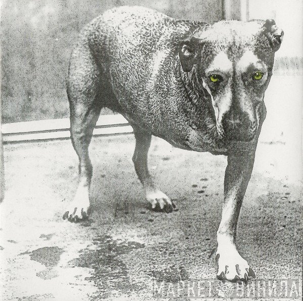 Alice In Chains  - Alice In Chains