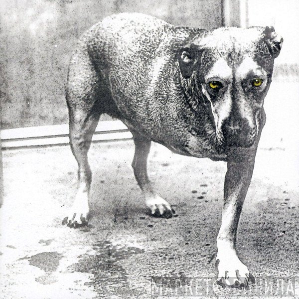 Alice In Chains  - Alice In Chains