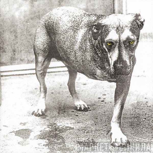 Alice In Chains  - Alice In Chains