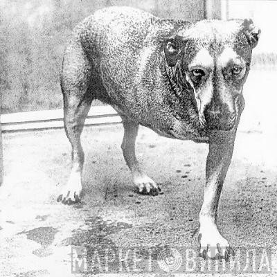 Alice In Chains  - Alice In Chains