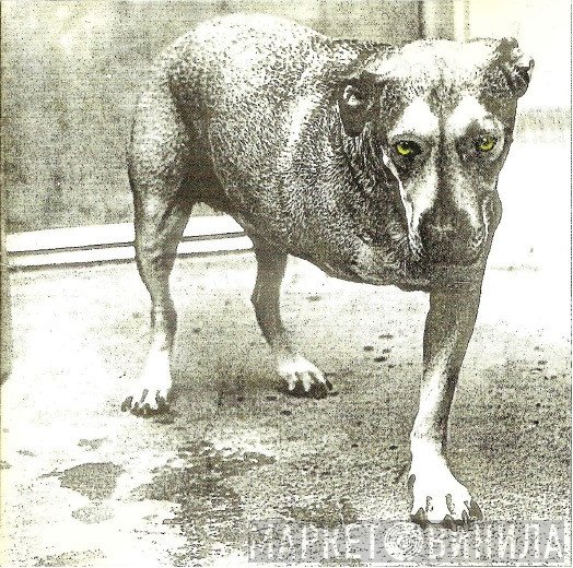 Alice In Chains  - Alice In Chains