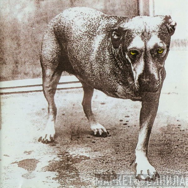 Alice In Chains  - Alice In Chains