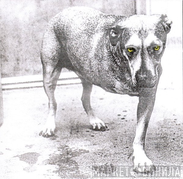 Alice In Chains  - Alice In Chains
