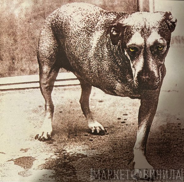 Alice In Chains  - Alice In Chains
