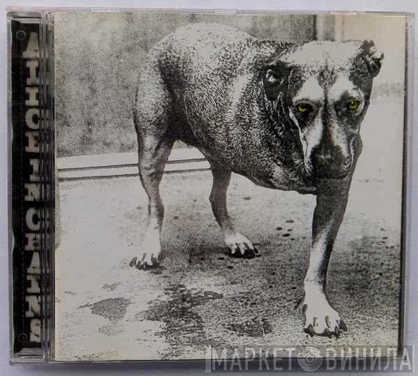 Alice In Chains  - Alice In Chains