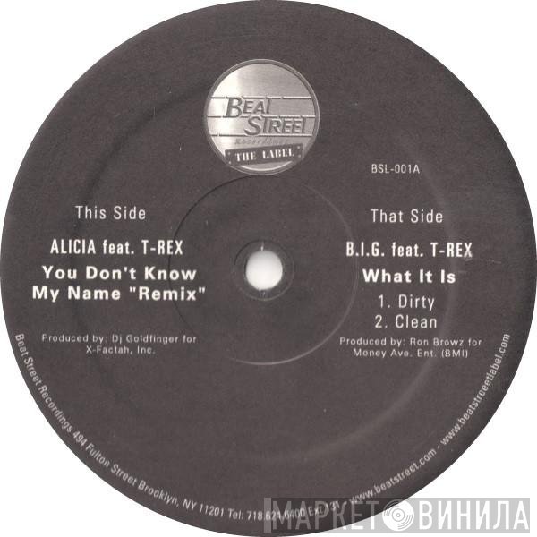 Alicia Keys, Notorious B.I.G., T-Rex  - You Don't Know My Name "Remix" / What It Is