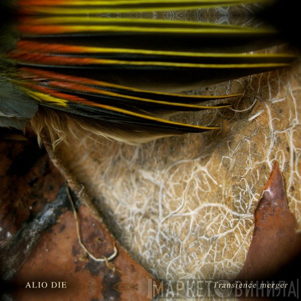 Alio Die  - Transience Merger