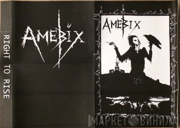 Amebix  - Right To Rise
