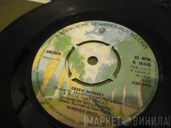 America  - Green Monkey