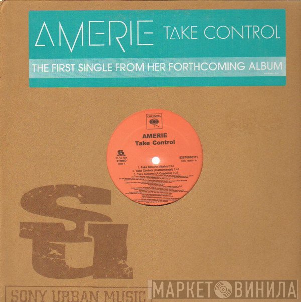 Amerie  - Take Control / That's What U R