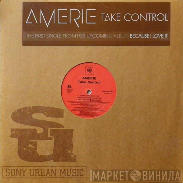 Amerie  - Take Control