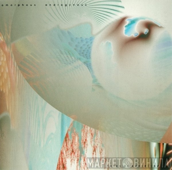 Amorphous Androgynous - Tales Of Ephidrina