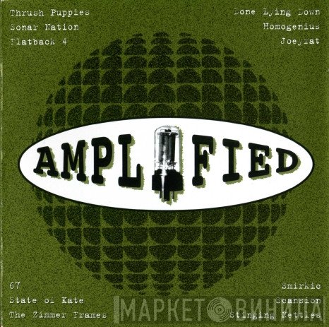  - Amplified