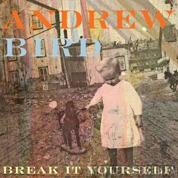 Andrew Bird - Break It Yourself