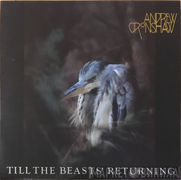 Andrew Cronshaw - Till The Beasts' Returning