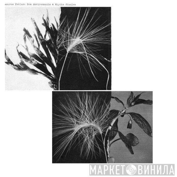 Andrew Pekler - New Environments & Rhythm Studies