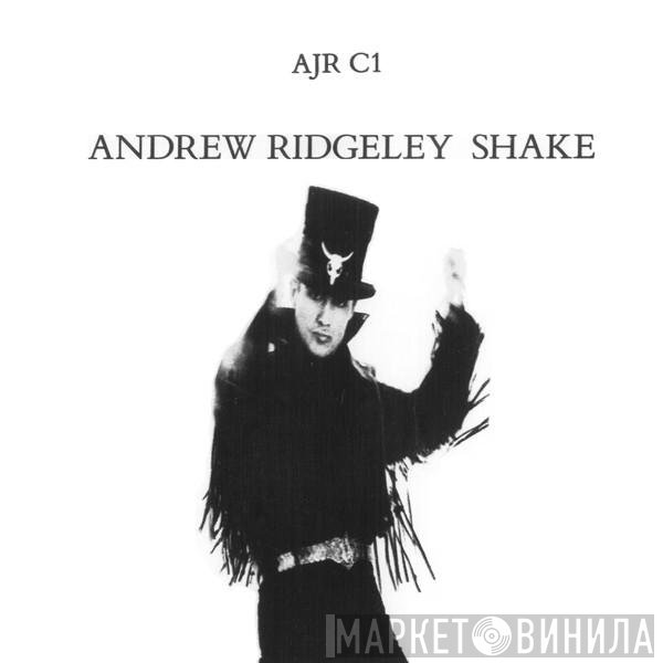 Andrew Ridgeley  - Shake