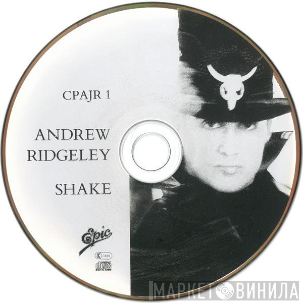 Andrew Ridgeley  - Shake