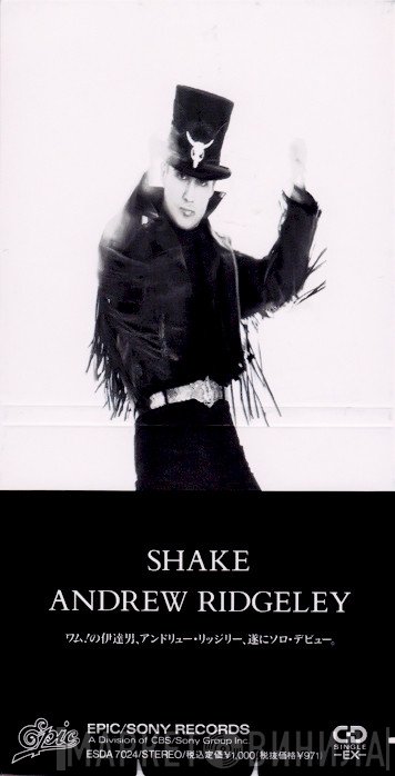 Andrew Ridgeley  - Shake