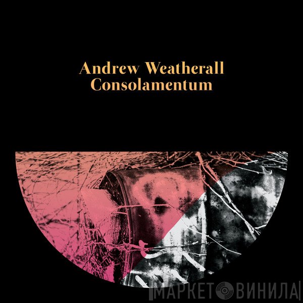 Andrew Weatherall  - Consolamentum