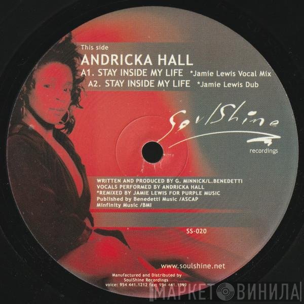 Andricka Hall, Deep Swing - Stay Inside My Life / Shelter (Remixes)