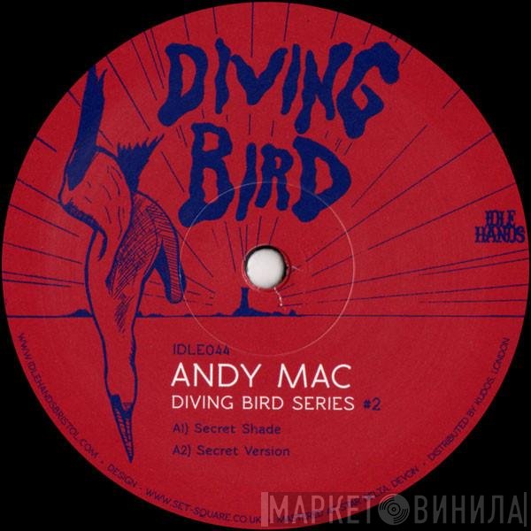 Andy Mac  - Diving Bird Series #2