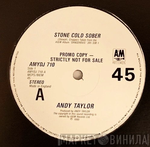 Andy Taylor - Stone Cold Sober