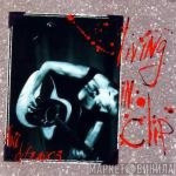 Ani DiFranco  - Living In Clip