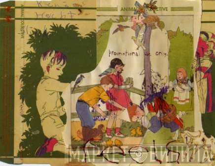 Animal Collective  - Feels