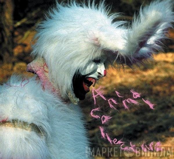 Animal Collective  - Who Could Win A Rabbit