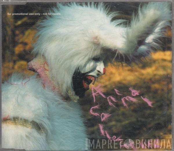 Animal Collective  - Who Could Win A Rabbit