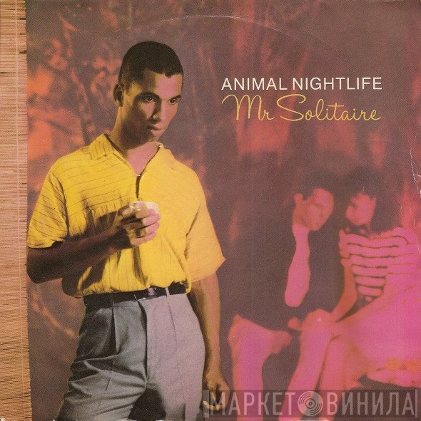 Animal Nightlife - Mr Solitaire