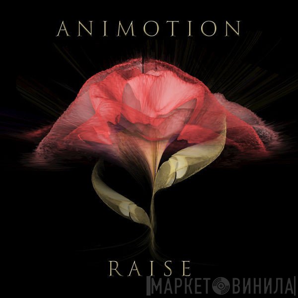 Animotion  - Raise