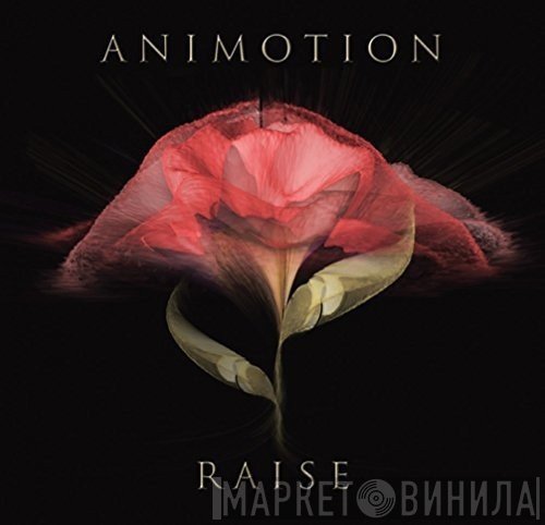 Animotion  - Raise
