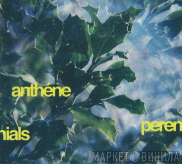 Anthéne - Perennials