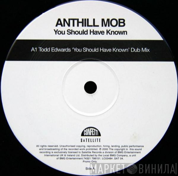 Anthill Mob - You Should Have Known (Todd Edwards Remixes)