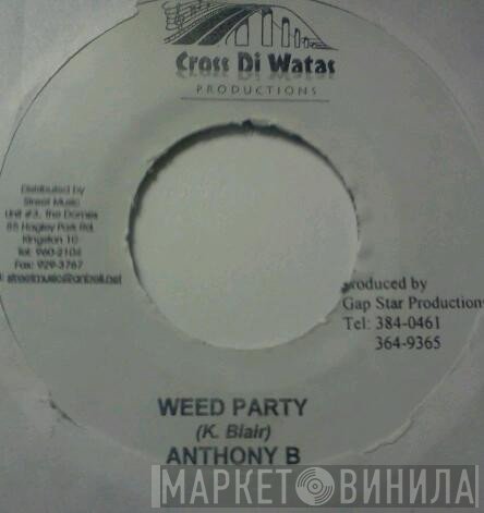 Anthony B - Weed Party