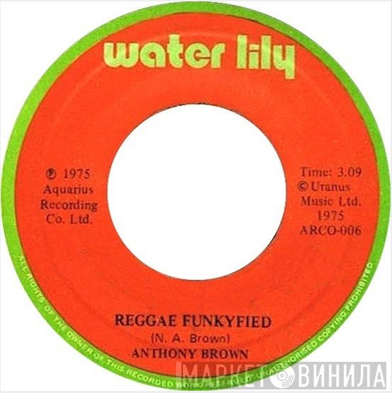 Anthony Brown  - Reggae Funkyfied