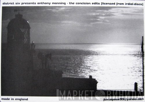 Anthony Manning  - The Concision Edits