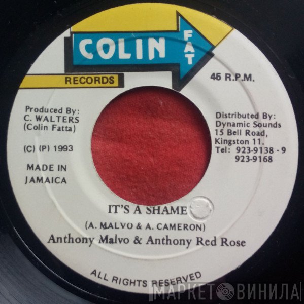 Anthony Red Rose, Anthony Malvo - It's A Shame